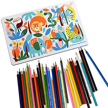 Rex London – Buntstifte in der Dose „Wild Wonders“ (36 Bleistifte) im Sale
